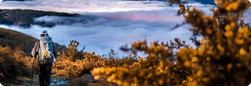 Experience the History of Camino Primitivo with Traveltouriz